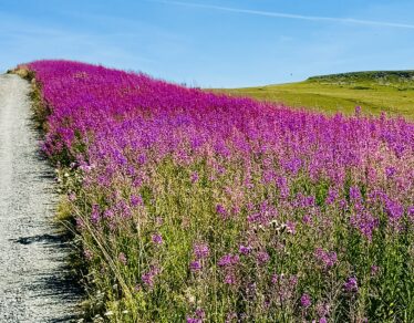 buron, Cantal, Auvergne Refuge de montagne insolite