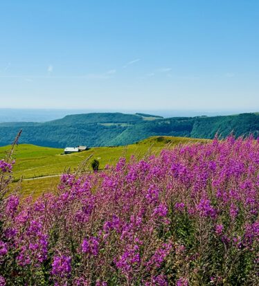 Refuge de montagne, burons, Cantal Auvergne